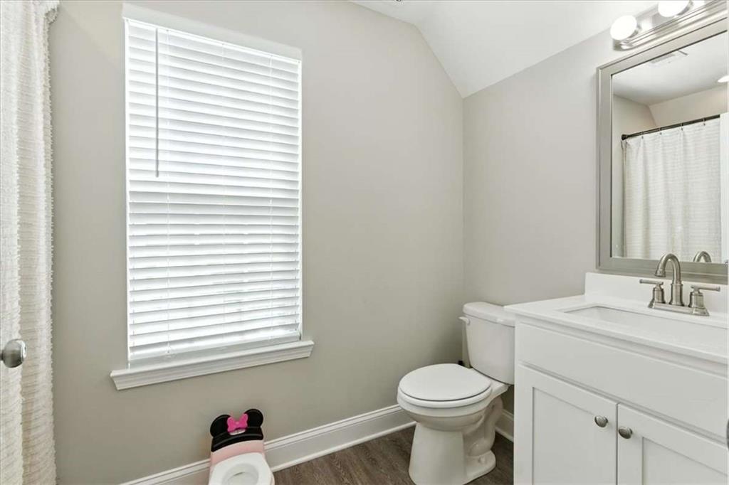 62 Joe Rowell Road Buchanan, GA 30113 - Photo 41 of 63 a bathroom with a sink and a toilet