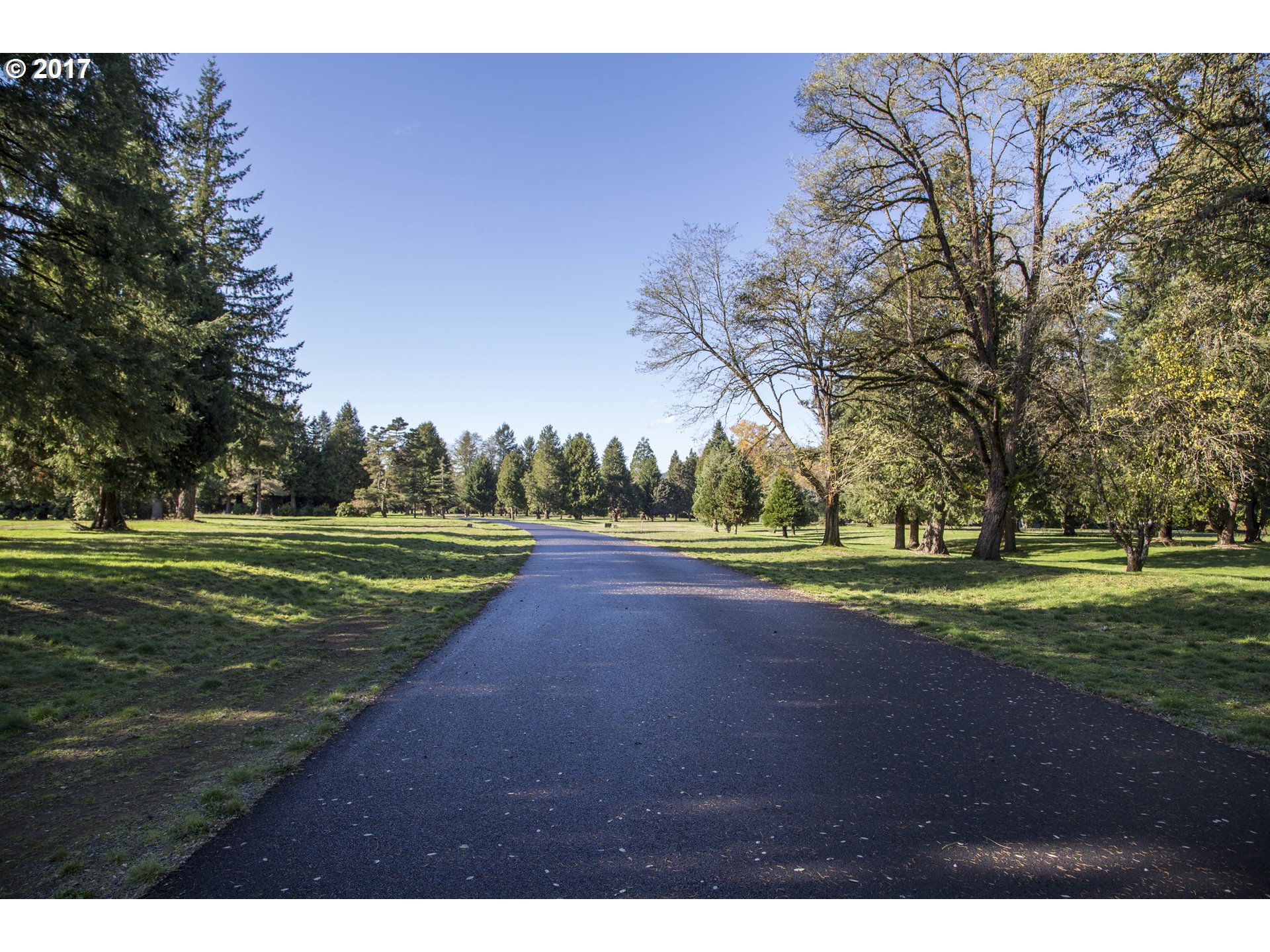 Omlid Drive, Unit 9 Springfield, OR 97478 - Photo 11 of 24