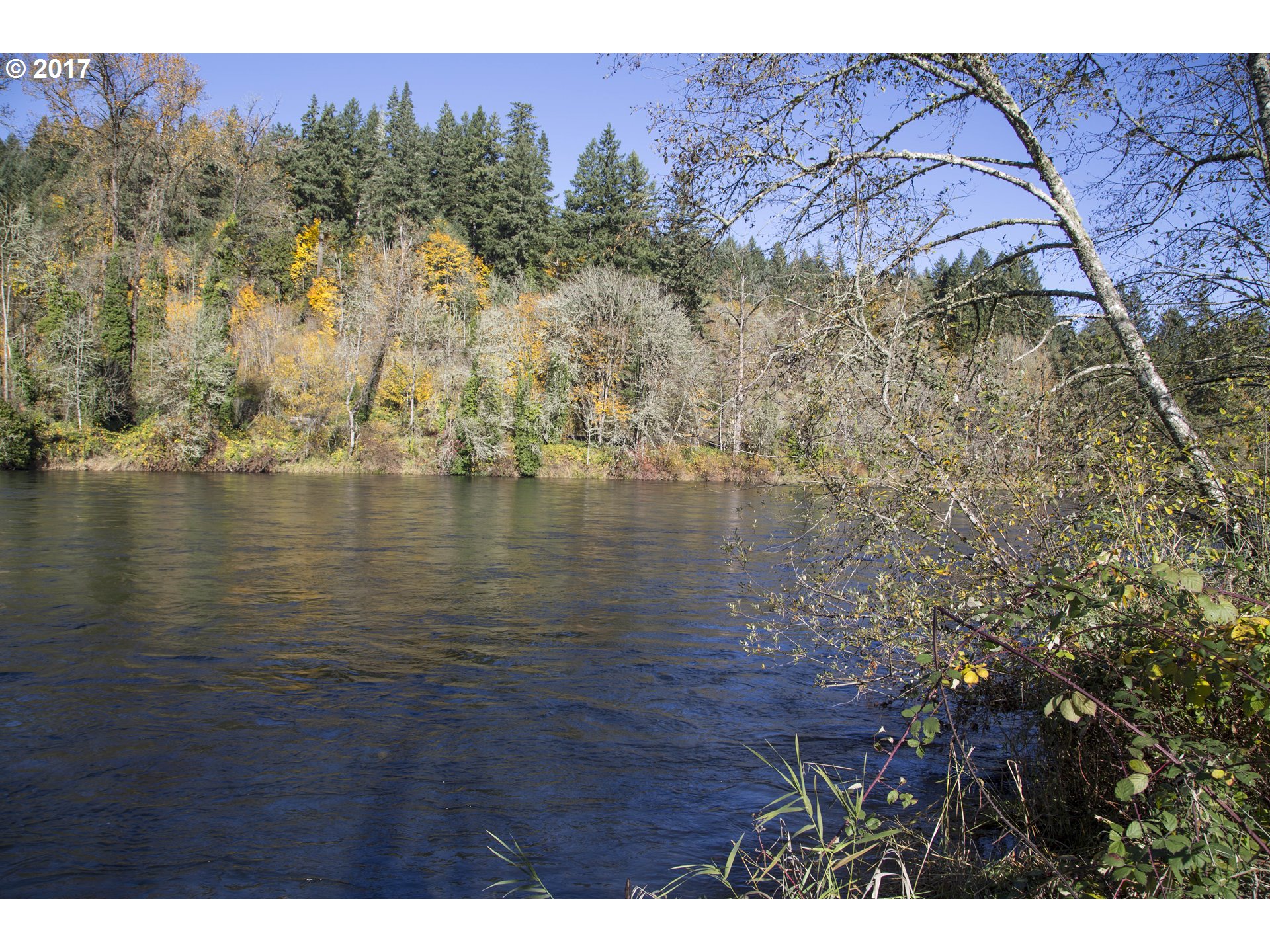 Omlid Drive, Unit 9 Springfield, OR 97478 - Photo 3 of 24