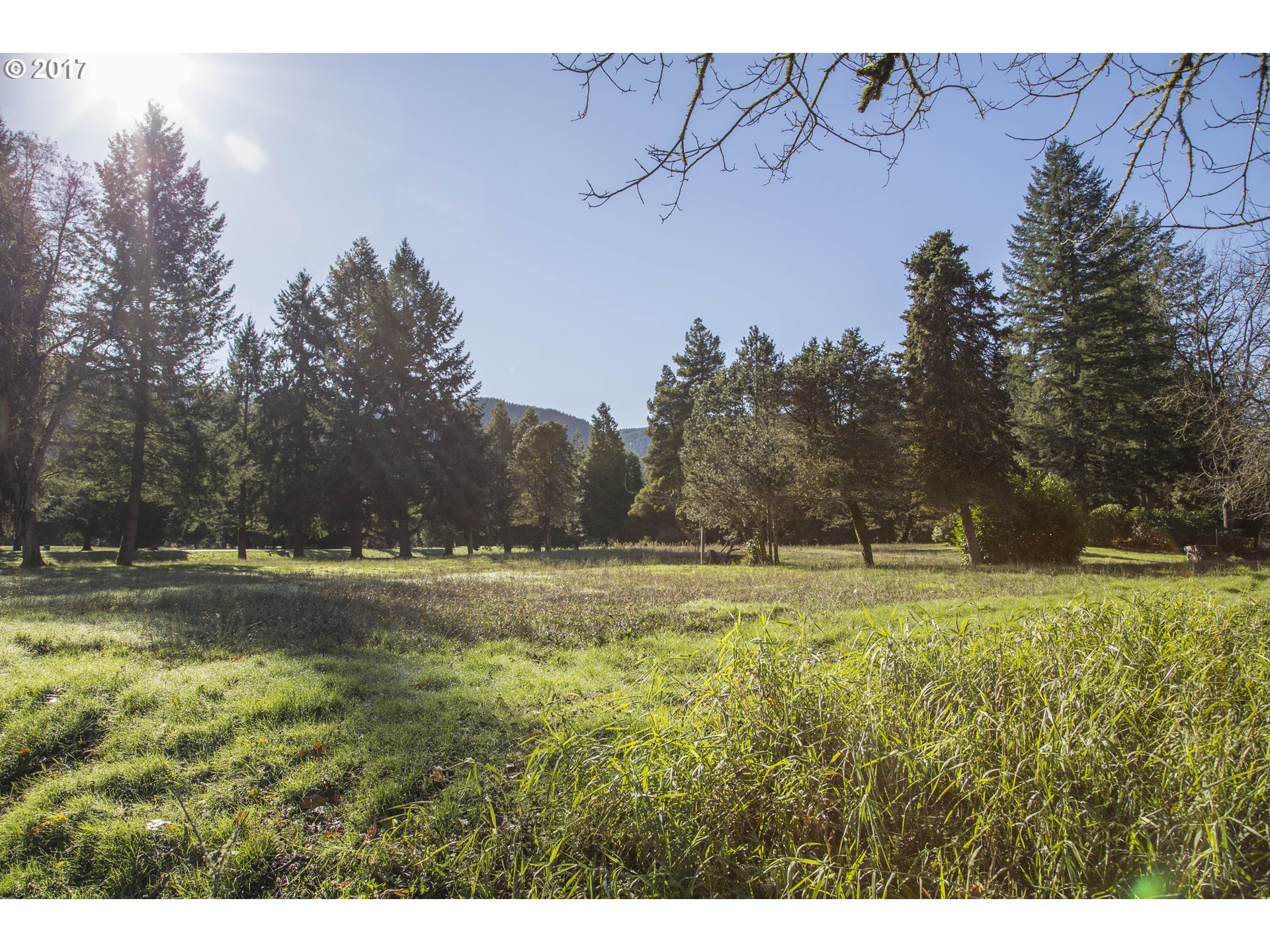 Omlid Drive, Unit 9 Springfield, OR 97478 - Photo 6 of 24