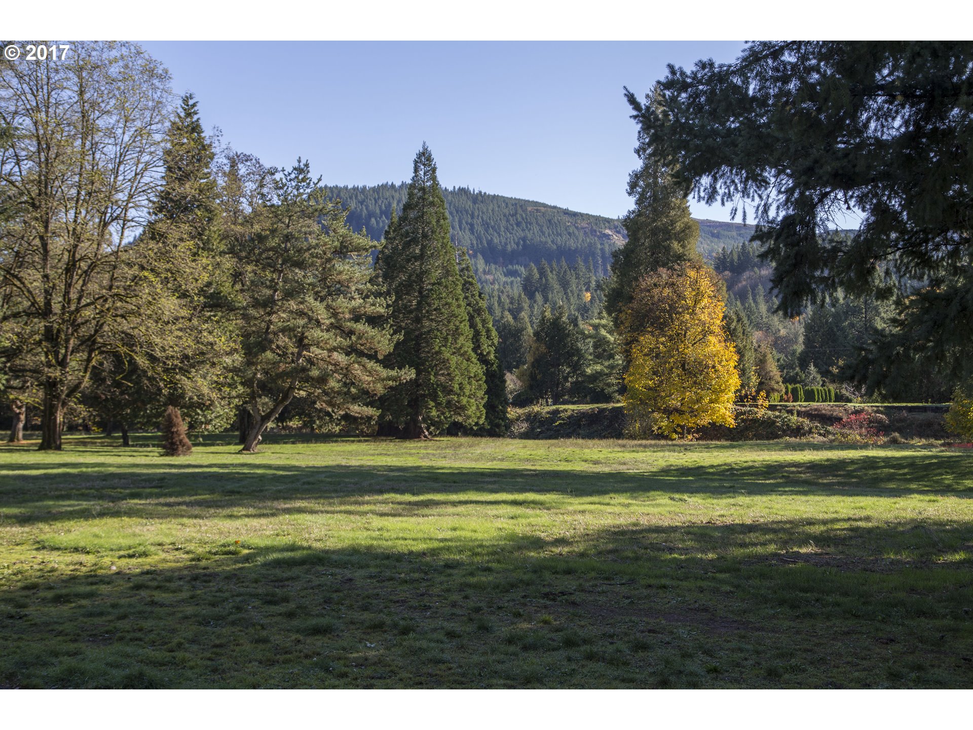 Omlid Drive, Unit 9 Springfield, OR 97478 - Photo 7 of 24