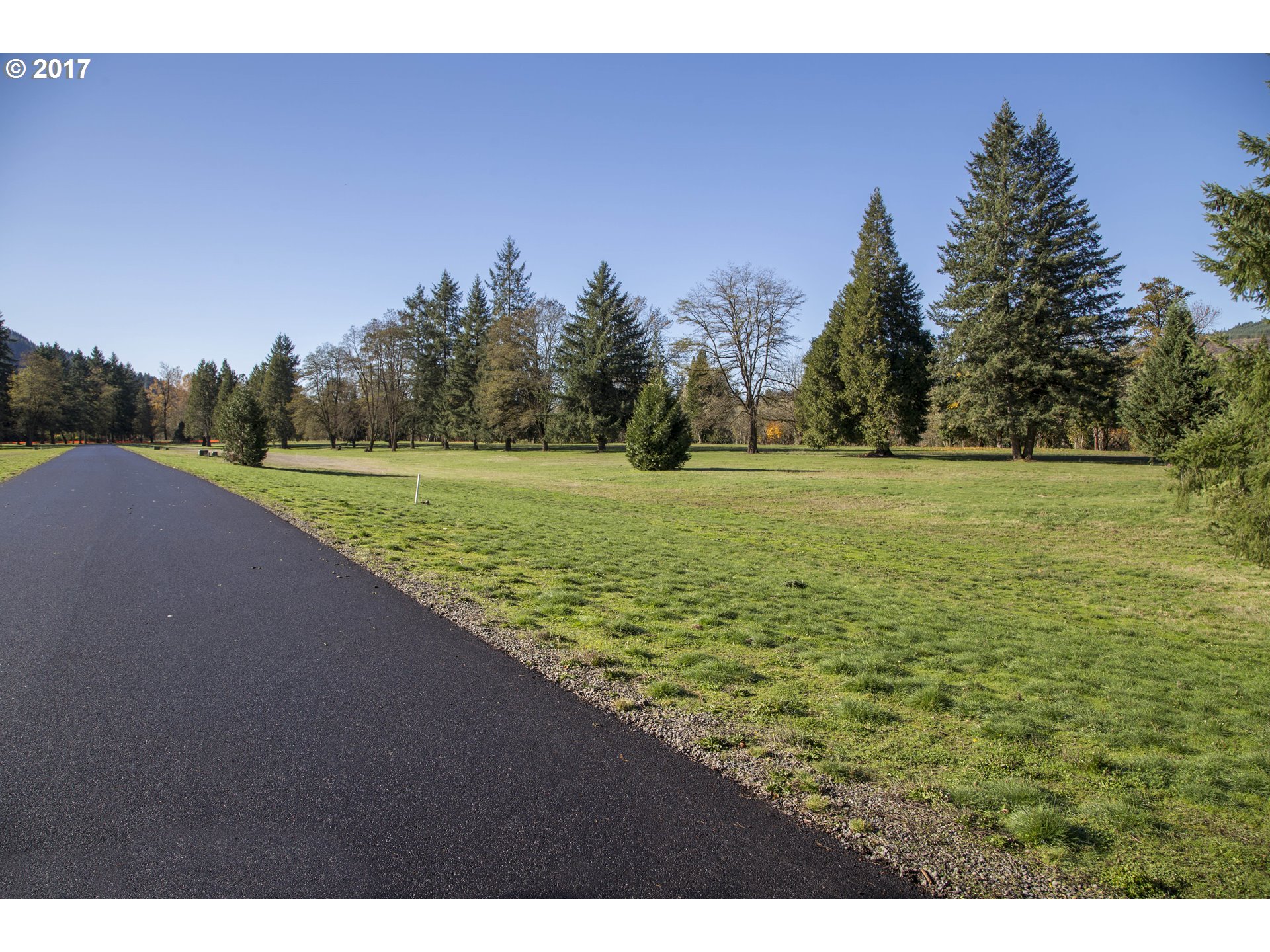 Omlid Drive, Unit 9 Springfield, OR 97478 - Photo 8 of 24