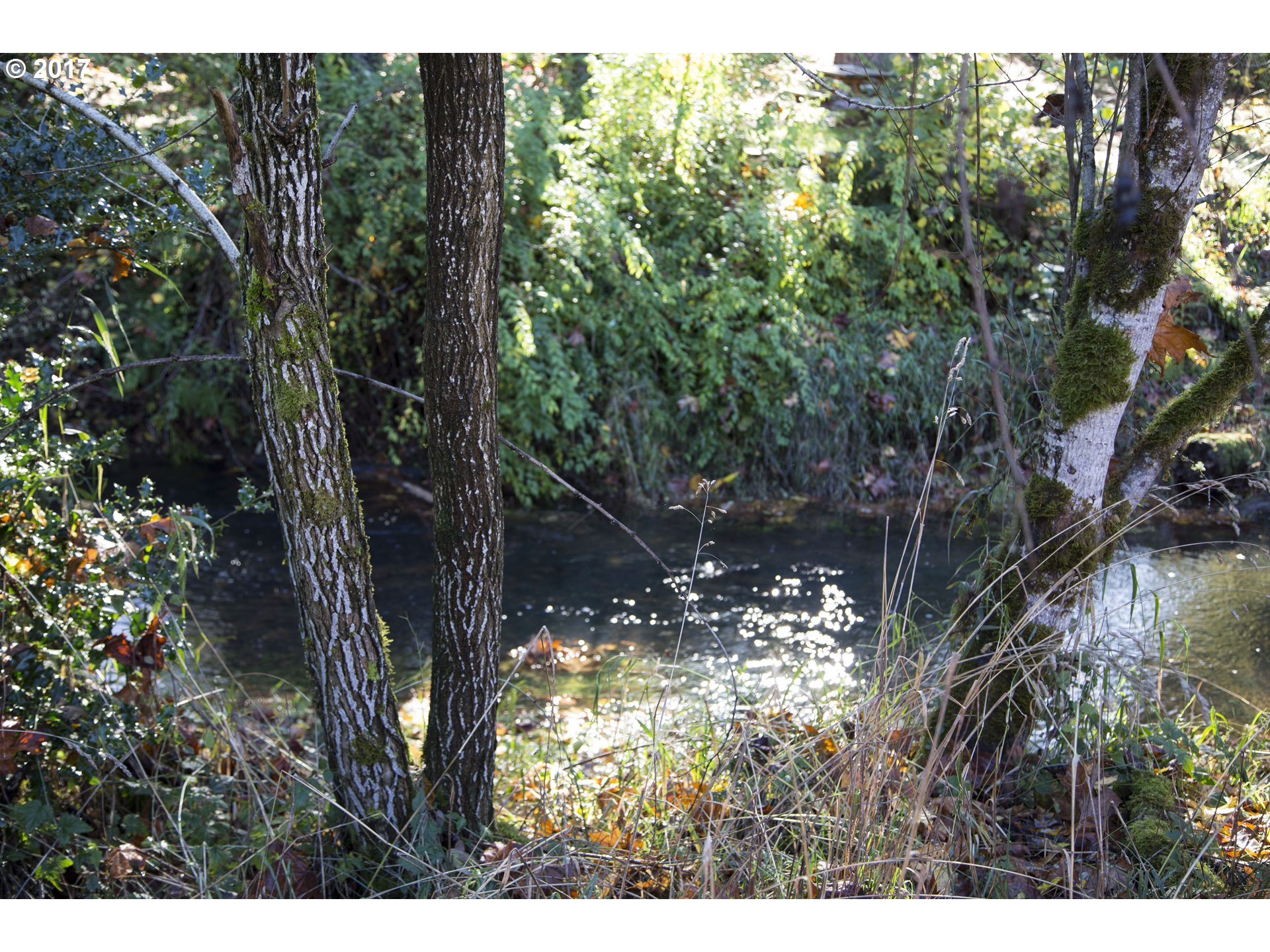 Omlid Drive, Unit 9 Springfield, OR 97478 - Photo 9 of 24