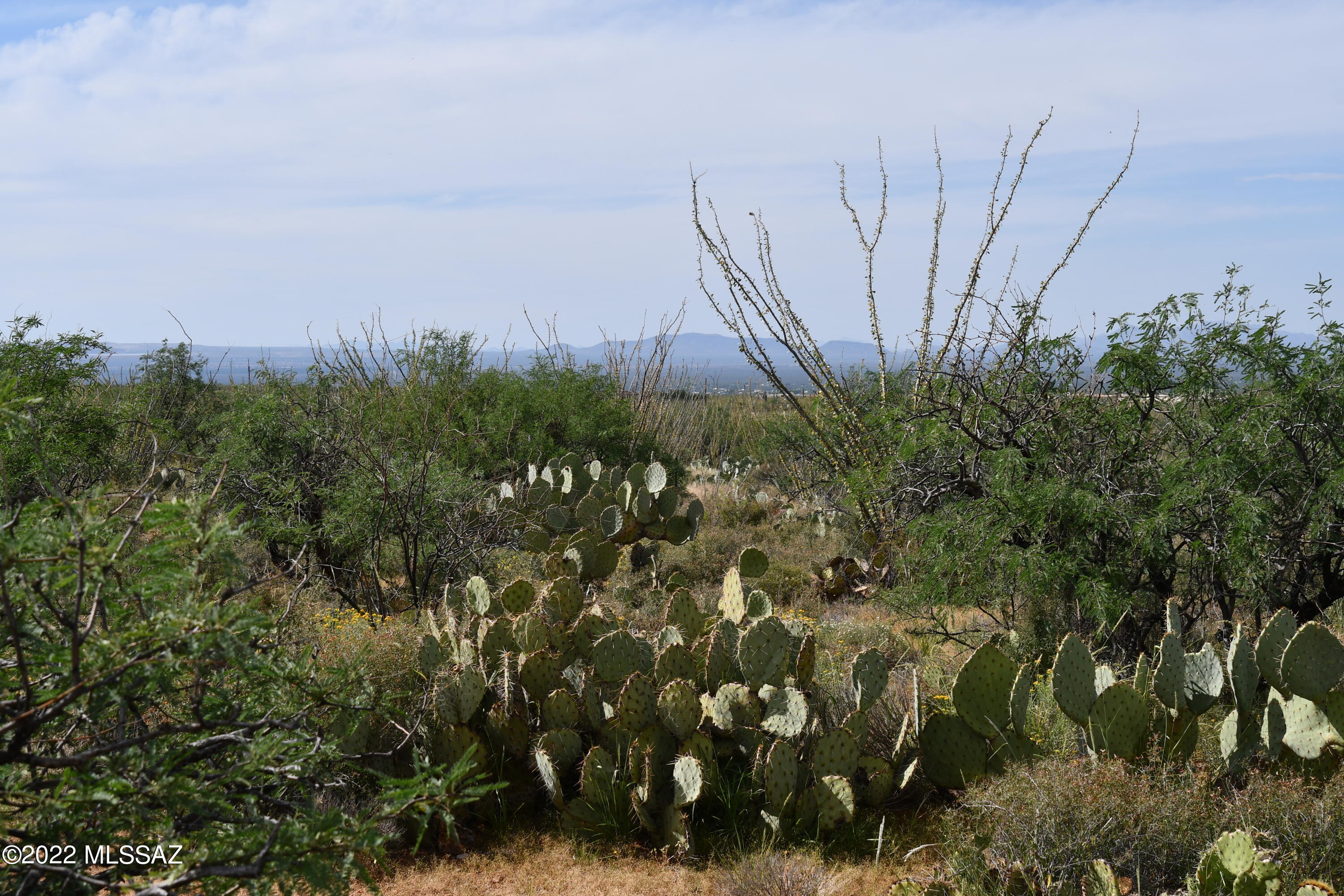 0 East Ocotillo Rim Trail Vail, AZ 85641 - Photo 10 of 10 Gallery Image 10