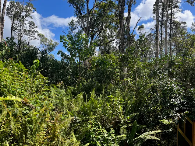 a view of backyard with a large window and potted plants