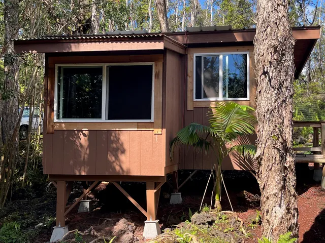 a view of a backyard with plants and a garden
