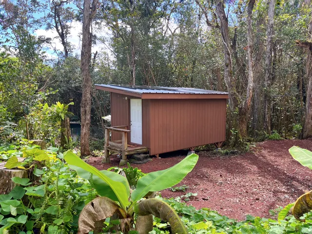 a view of a yard with plants and large trees