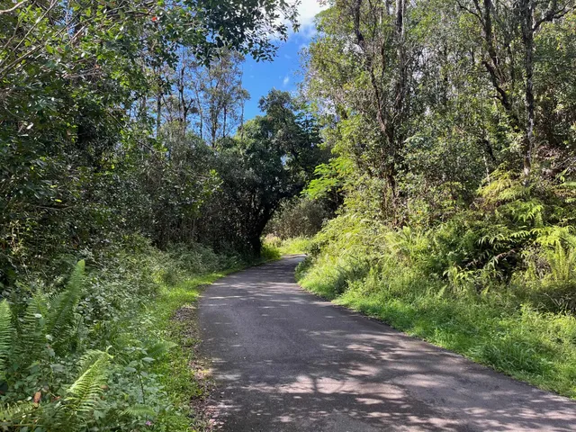 $65,000 | 777 Iolani Street, Pahoa, HI 96778