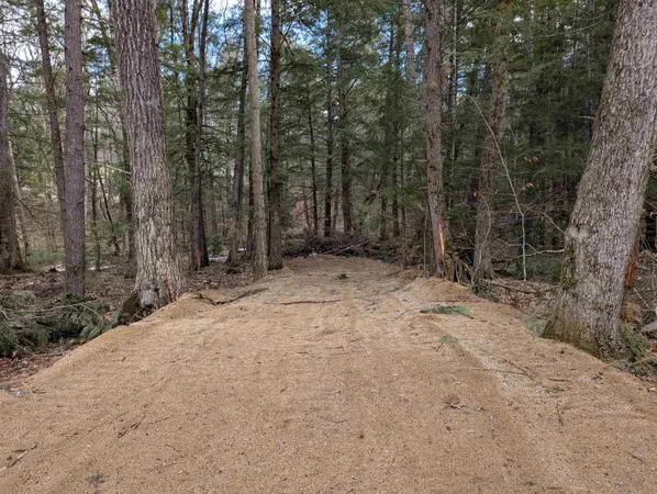 $50,000 | Lot 113-114 Rocky Lane, Unit 113/114, Tamworth, NH 03886