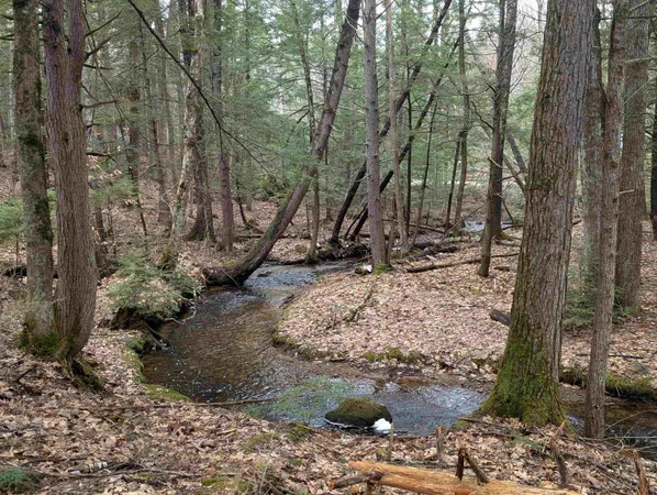 $50,000 | Lot 113-114 Rocky Lane, Unit 113/114, Tamworth, NH 03886