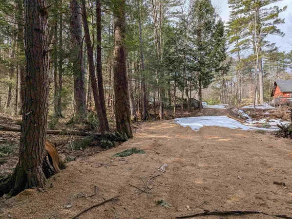 $50,000 | Lot 113-114 Rocky Lane, Unit 113/114, Tamworth, NH 03886