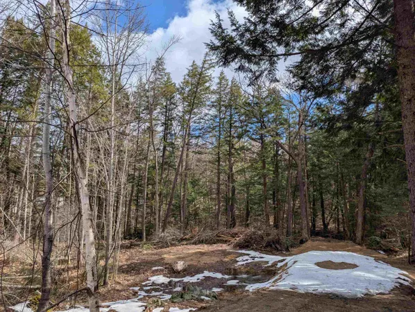 $50,000 | Lot 113-114 Rocky Lane, Unit 113/114, Tamworth, NH 03886