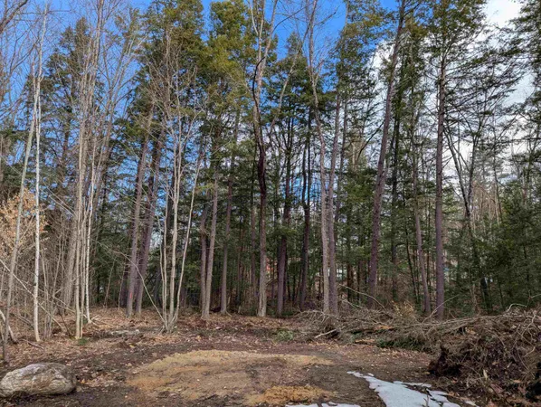 $50,000 | Lot 113-114 Rocky Lane, Unit 113/114, Tamworth, NH 03886