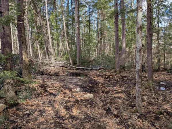 $50,000 | Lot 113-114 Rocky Lane, Unit 113/114, Tamworth, NH 03886