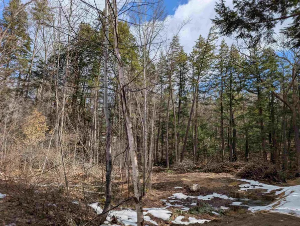 $50,000 | Lot 113-114 Rocky Lane, Unit 113/114, Tamworth, NH 03886