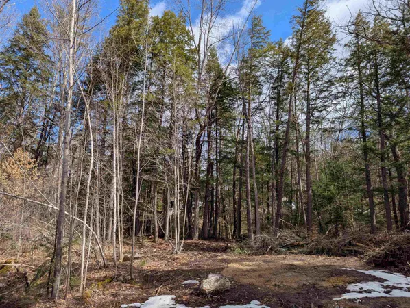 $50,000 | Lot 113-114 Rocky Lane, Unit 113/114, Tamworth, NH 03886