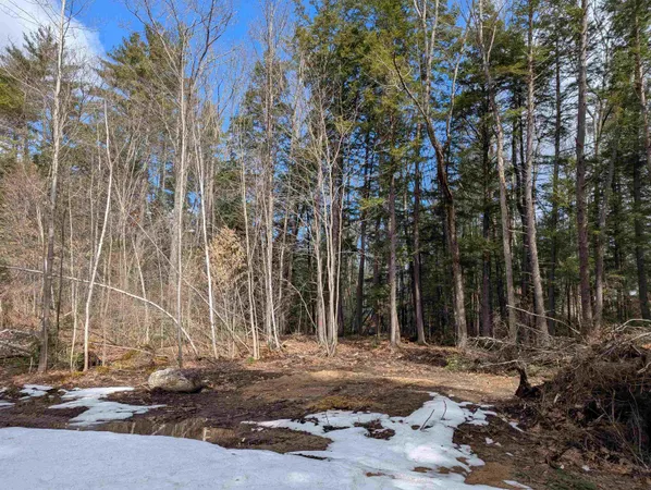 $50,000 | Lot 113-114 Rocky Lane, Unit 113/114, Tamworth, NH 03886