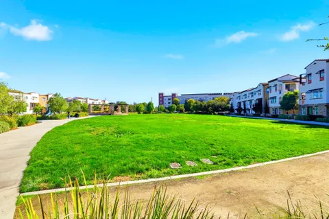 a picture of a park with a large window