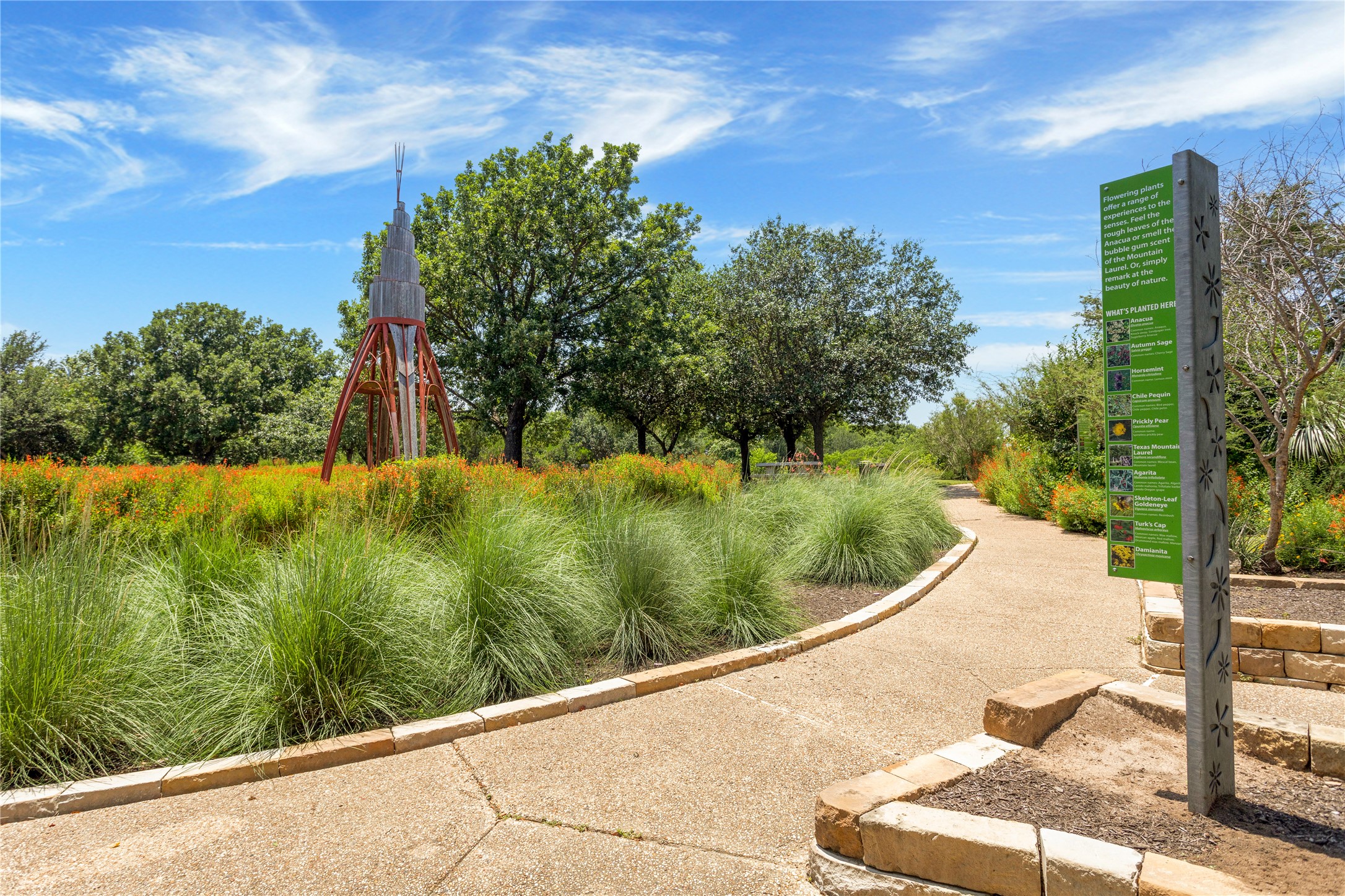 2805 McCurdy Street, Unit 14 Austin, TX 78723 - Photo 27 of 40 Meandering pathways invite exploration through verdant gardens with a captivating natural sculpture.