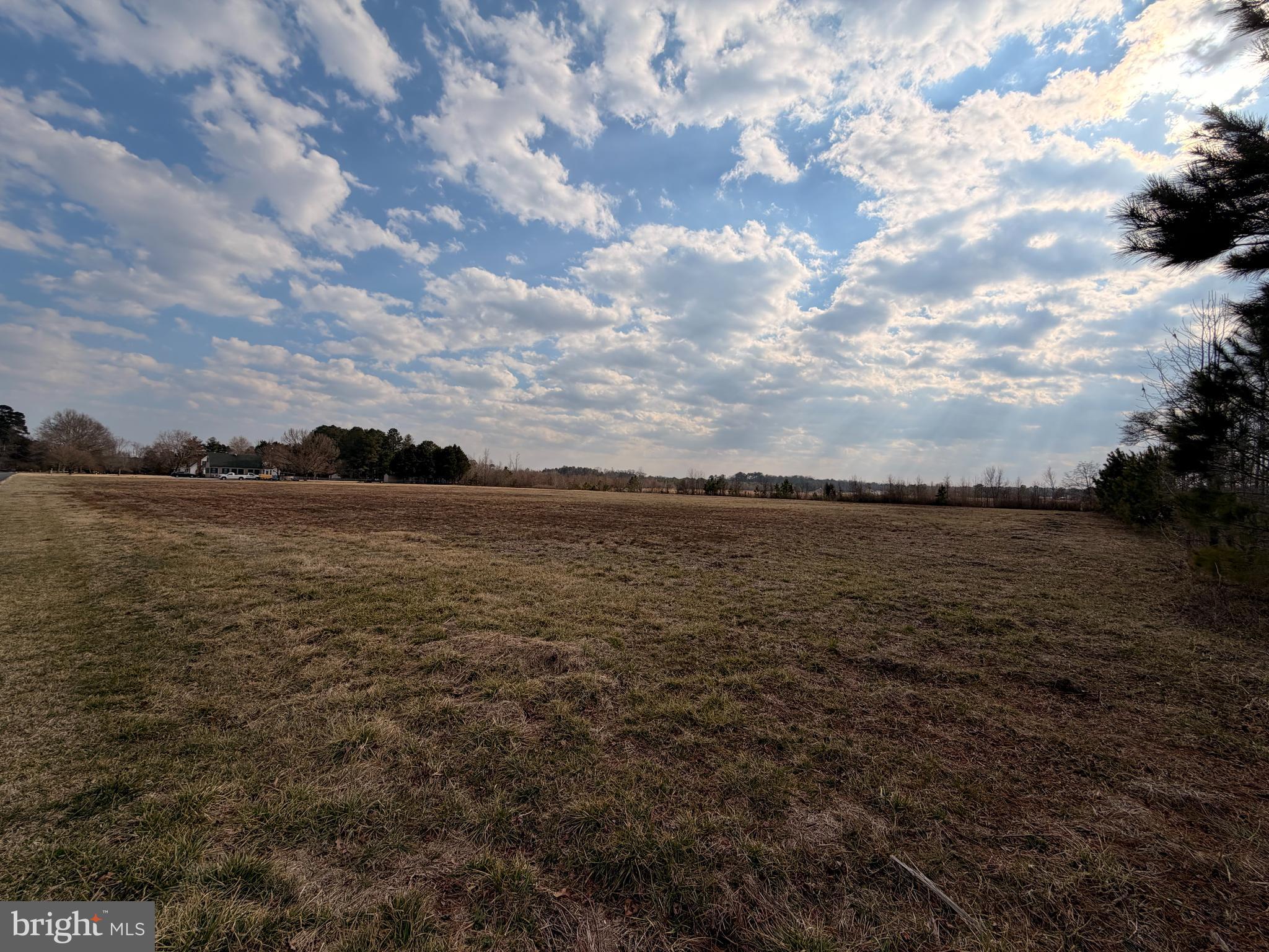 0 Campground Road Eden, MD 21822 - Photo 5 of 5