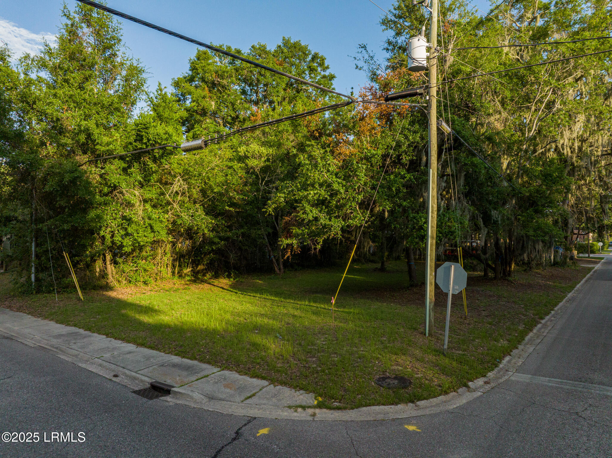 Tbd Washington Street Beaufort, SC 29902 - Photo 26 of 50 TBD WASHINGINTON 9