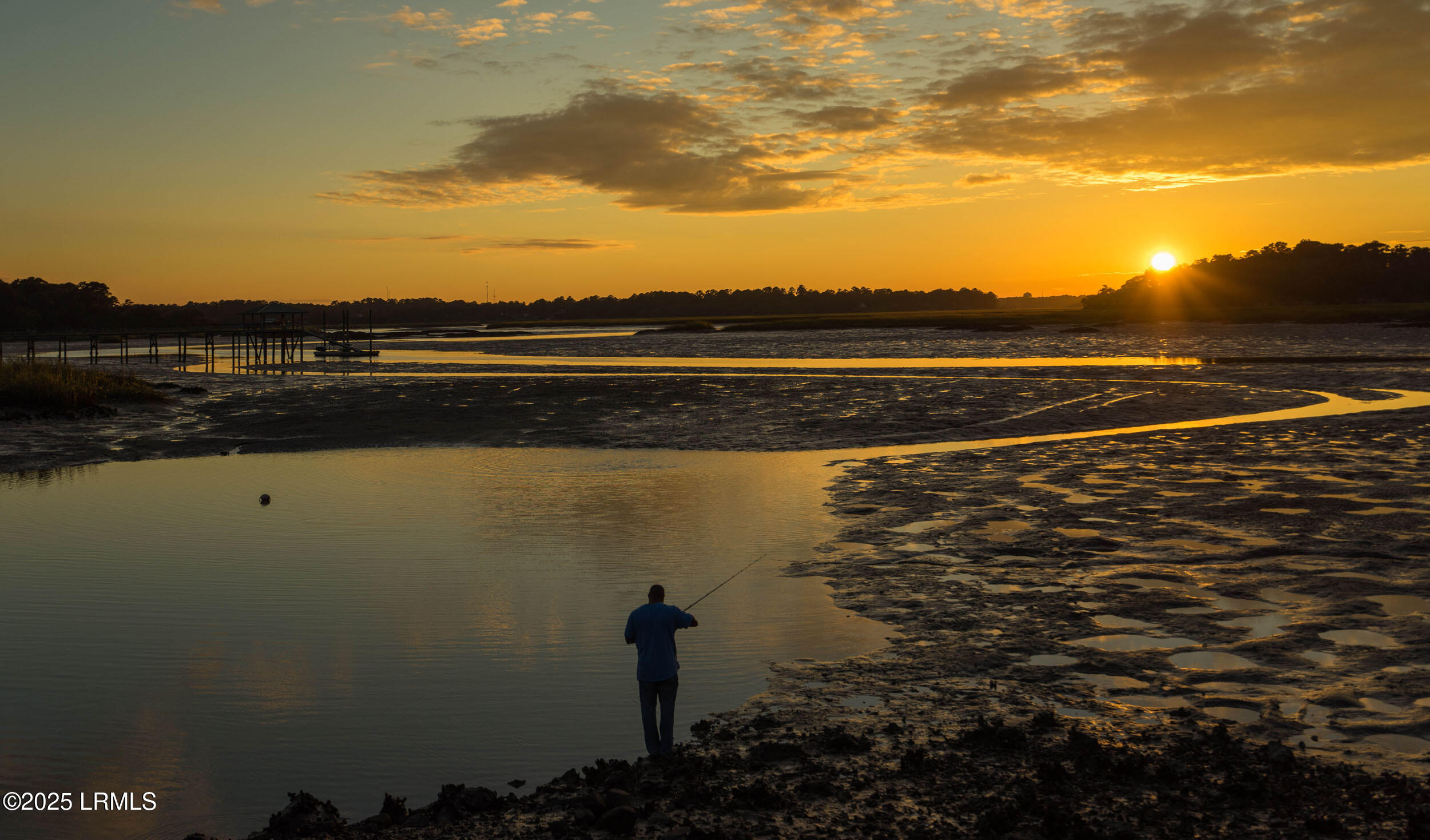 Tbd Washington Street Beaufort, SC 29902 - Photo 37 of 50 spanish moss trail 1