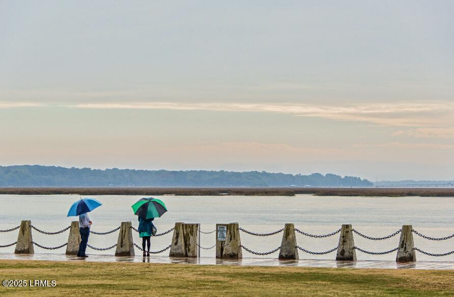 Tbd Washington Street Beaufort, SC 29902 - Photo 48 of 50 38