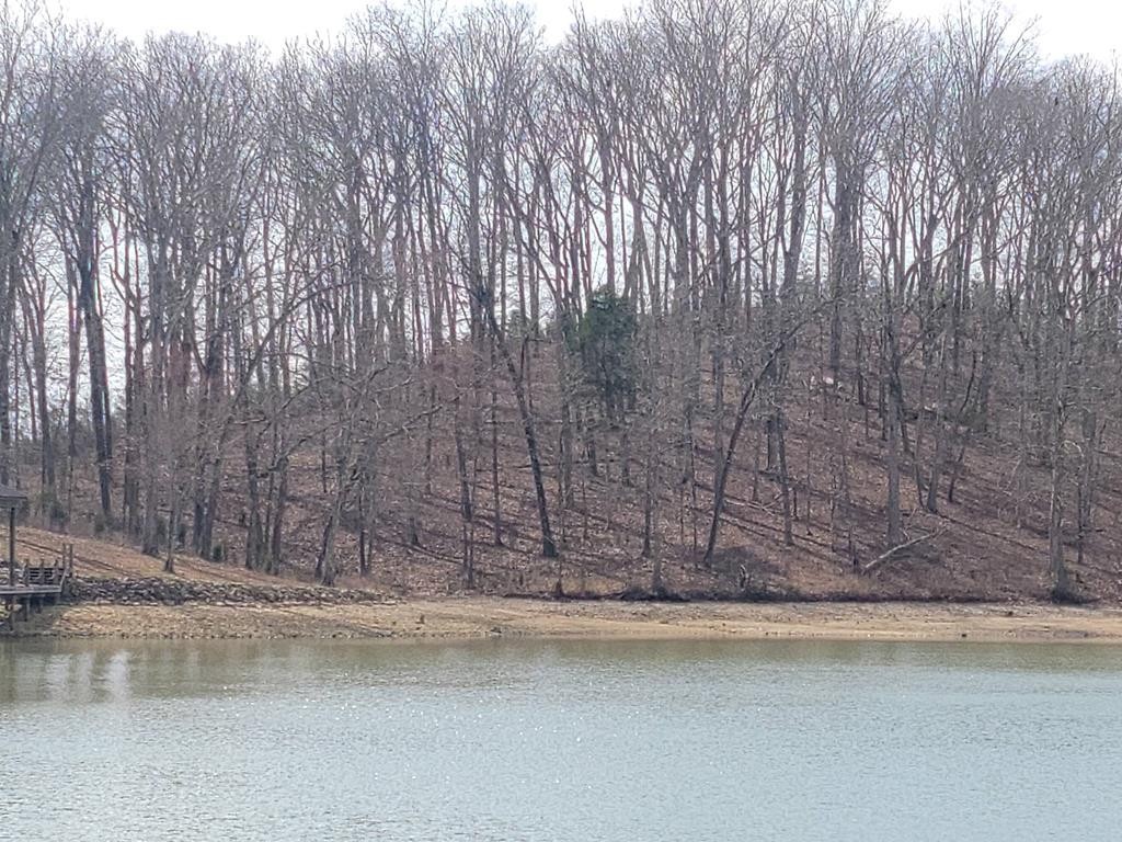 0 Waterfront Way Spring City, TN 37381 - Photo 2 of 31 Gallery Image 2