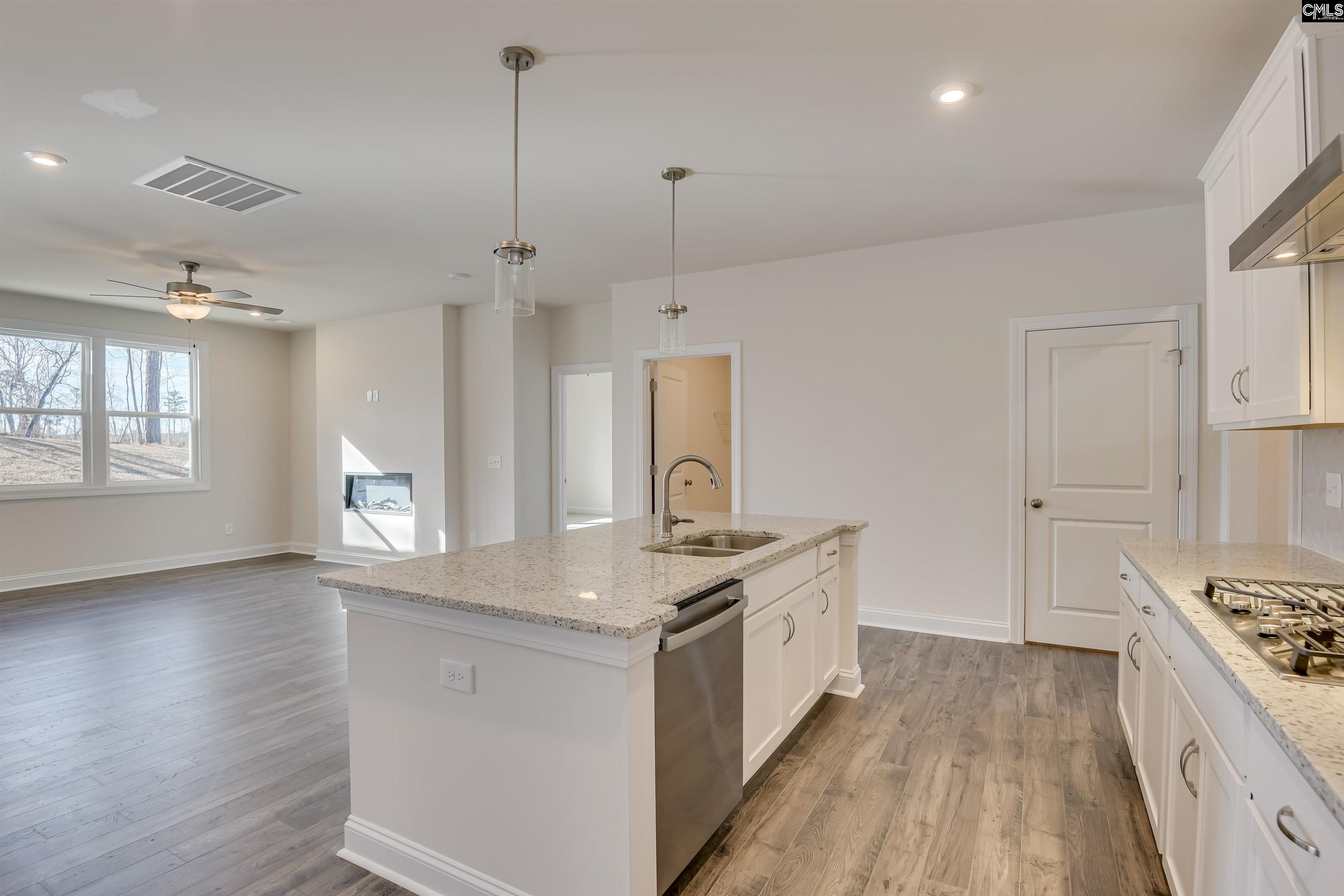 617 Basalt Court Chapin, SC 29036 - Photo 6 of 46