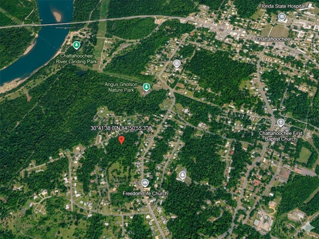 Satsuma Road Chattahoochee, FL 32324 - Photo 5 of 6