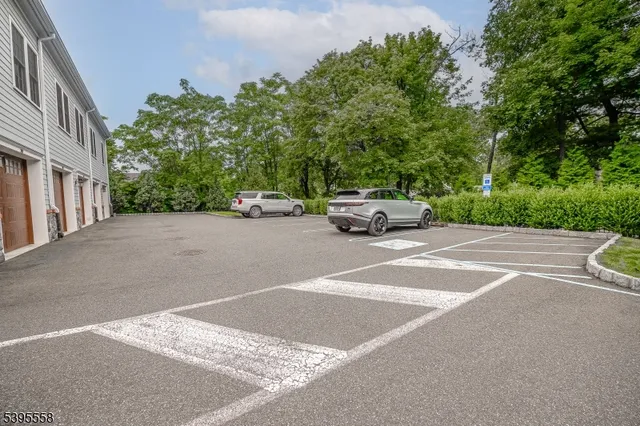 $5,300 | 29 Euclid Avenue, Unit 203, Summit, NJ 07901