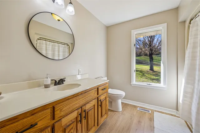 a bathroom with a sink and a toilet