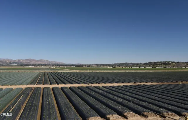 a view of lake and mountain