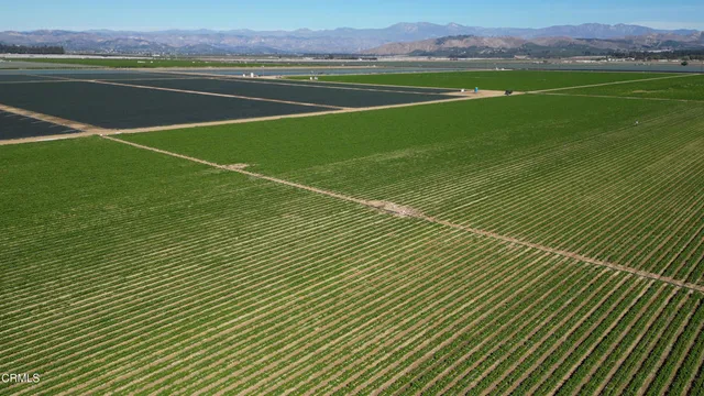 a view of a green field with clear sky view