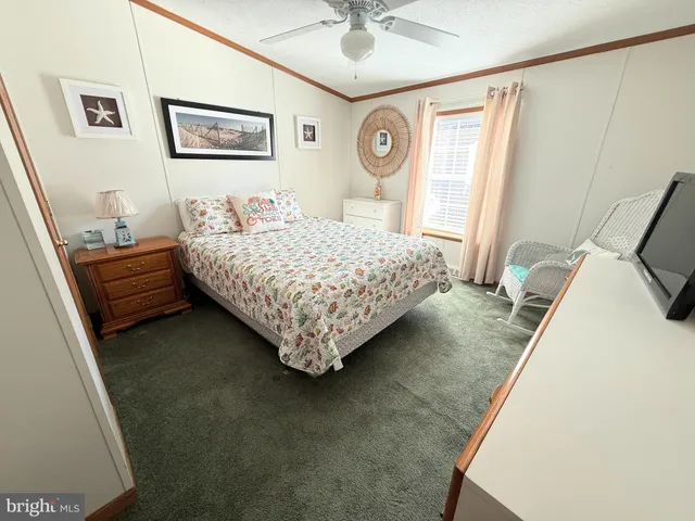 a picture of flowers