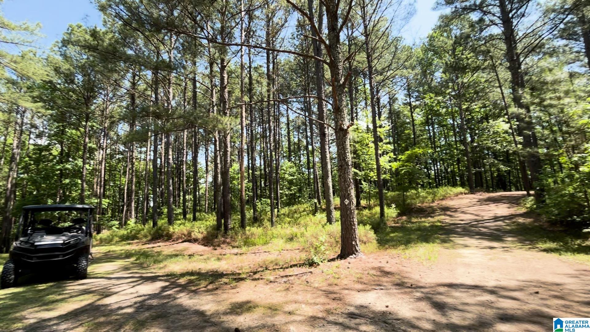 5145 Pine Mountain Road Remlap, AL 35133 - Photo 68 of 100