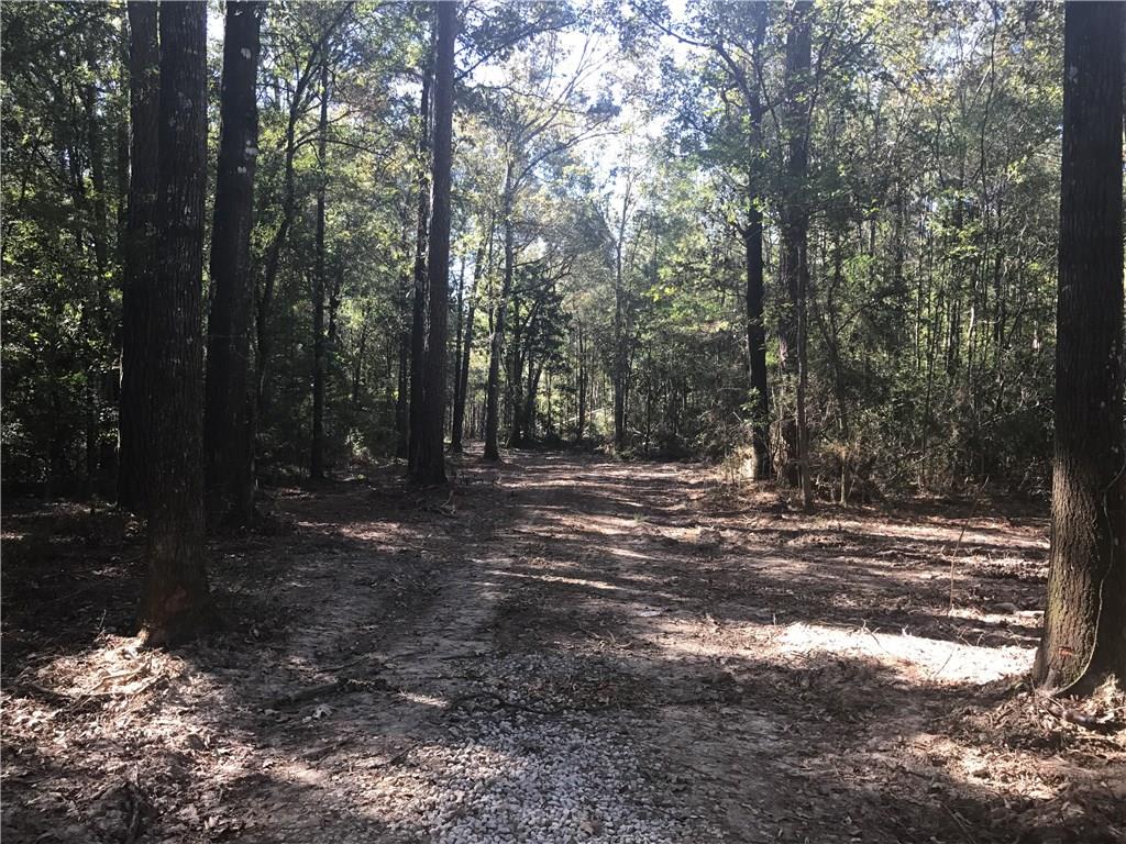 Tract E George White Road Holden, LA 70744 - Photo 1 of 7 Gallery Image 1