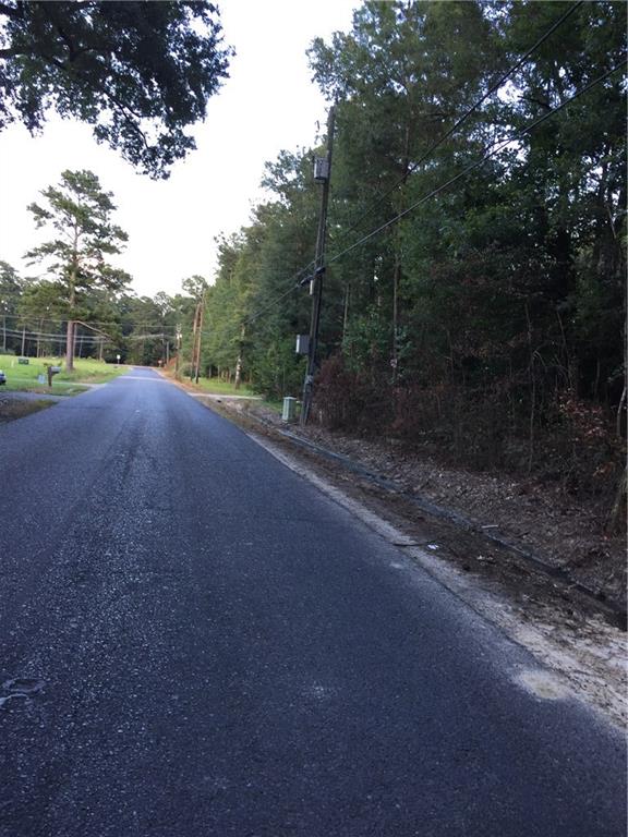 Tract E George White Road Holden, LA 70744 - Photo 6 of 7 Gallery Image 6