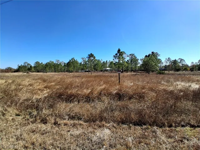 a view of outdoor space and trees