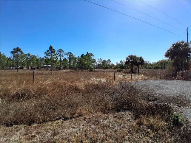 a view of dirt field and trees