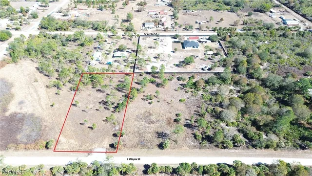 a view of a painting of a tree