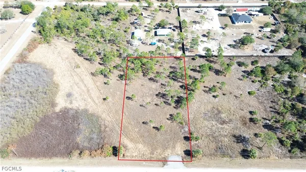 a close up of a plant in a garden