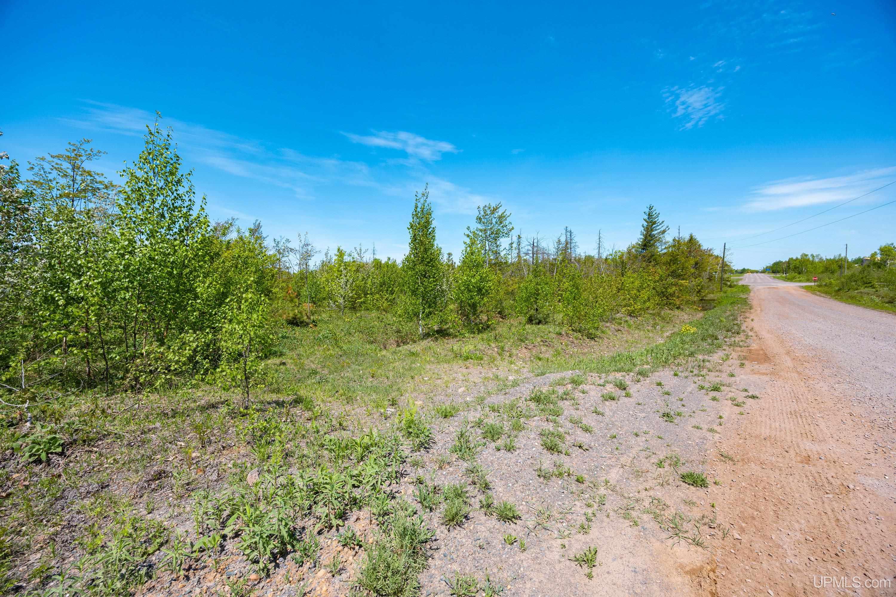 Lot 1 Airport Road, Unit CO RD 35B Calumet, MI 49913 - Photo 9 of 19