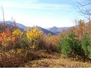 Tbd Tbd Taylors Valley Road, Unit 4 & 8 Damascus, VA 24236 - Photo 5 of 13 Photo 5