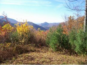 Tbd Tbd Taylors Valley Road, Unit 4 & 8 Damascus, VA 24236 - Photo 6 of 13 Photo 6