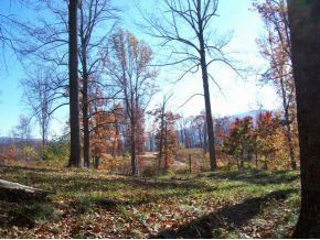 Tbd Tbd Taylors Valley Road, Unit 4 & 8 Damascus, VA 24236 - Photo 10 of 13 Photo 10