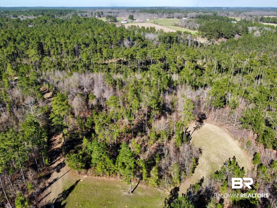 White Road Bay Minette, AL 36507 - Photo 28 of 32 Drone / aerial view featuring a wooded view