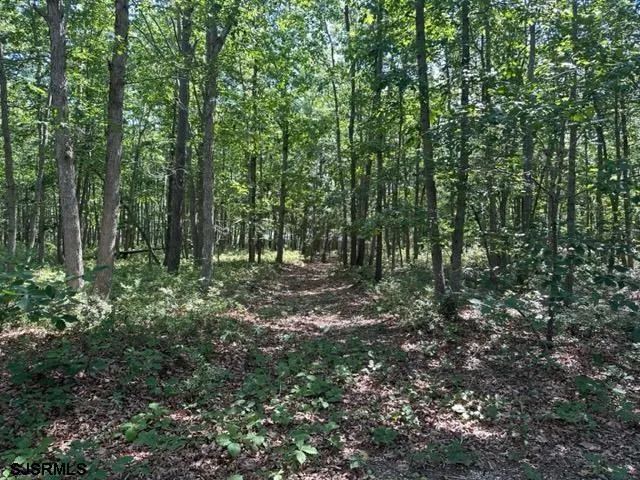 a view of outdoor space and green space