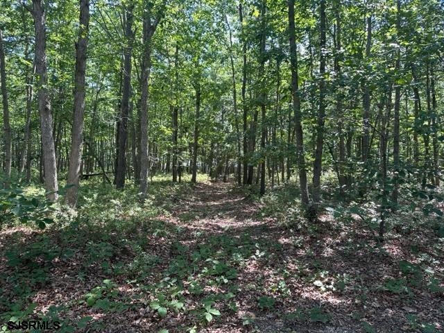 126 South New York Road Galloway Township, NJ 08205 - Photo 2 of 3 a view of outdoor space and green space