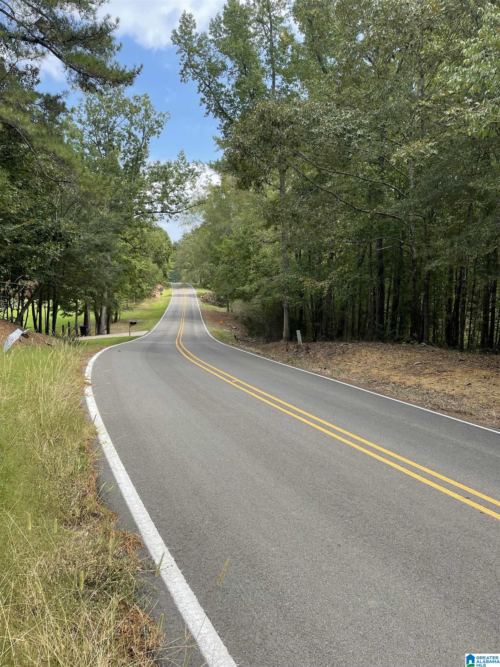 3000 Self Creek Road, Unit LOT 1 Warrior, AL 35180 - Photo 3 of 4